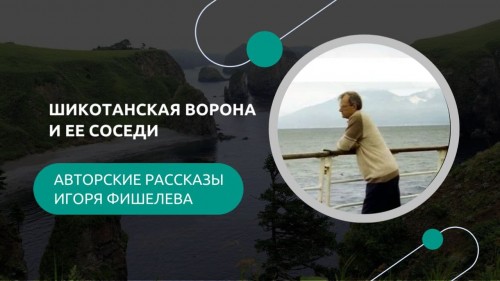 ifi_012384.jpg